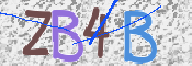 Immagine CAPTCHA